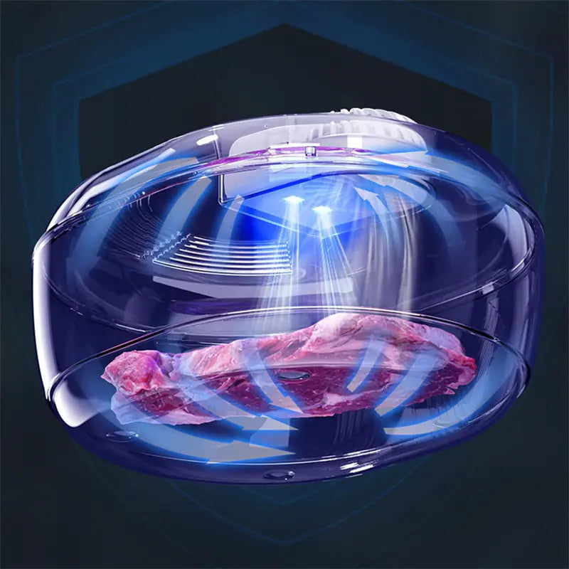 Rapid Defrosting Plate for Meat and Food (Home Use)